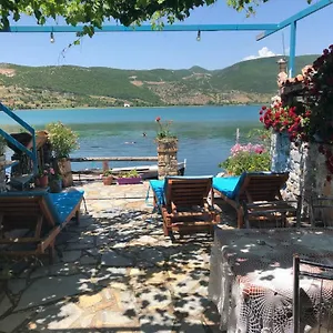 Bed & Breakfast Rosa 